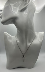 Collana con Corno Argento