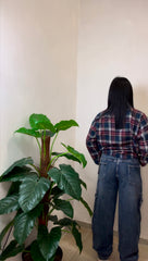 Jeans Balloon – Stile Oversize, Comfort Elasticizzato