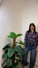 Jeans Balloon – Stile Oversize, Comfort Elasticizzato